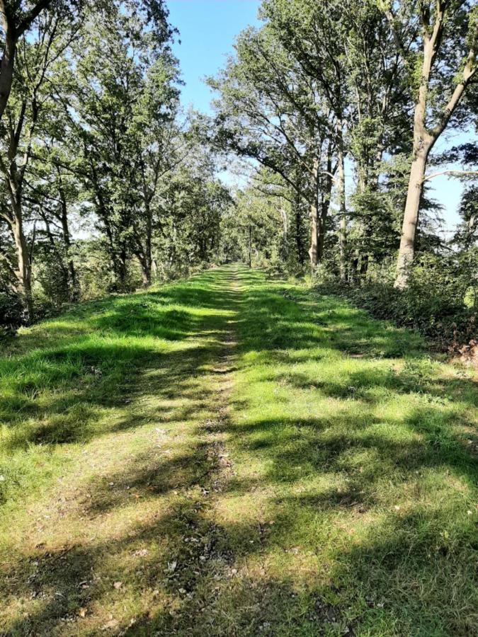Hoeve De Laan Woudenberg Esterno foto