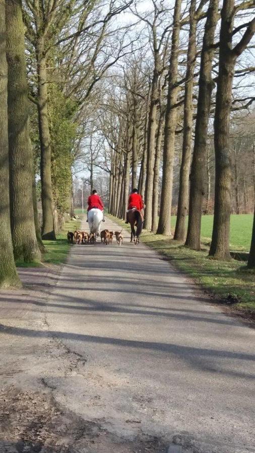 Hoeve De Laan Woudenberg Esterno foto